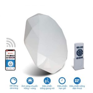 Đèn LED ốp trần Rạng Đông Wifi 60w D LN14L