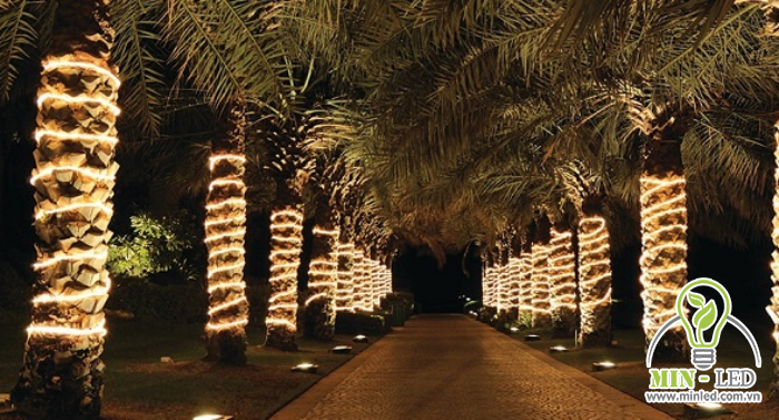 Thiết kế đèn LED trang trí quấn quanh thân cây