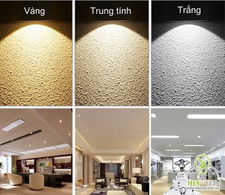 9 mẫu đèn tuýp LED đổi màu cao cấp cùng Chiết Khấu CAO